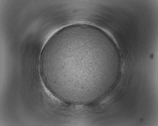 X0000116100903200912071257