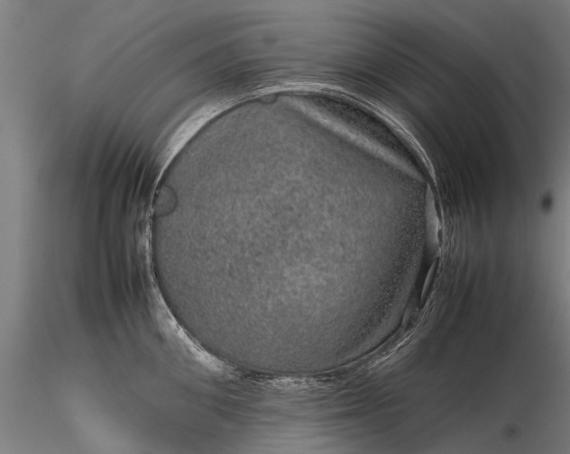 X0000116100906200912071257