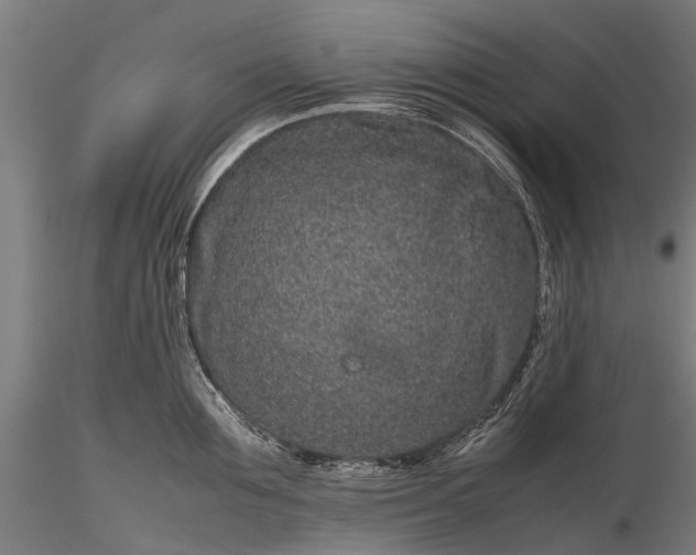 X0000116100907200912071257