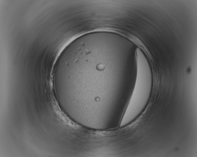 X0000116100908200912071257