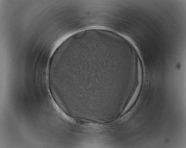 X0000116100910200912071257