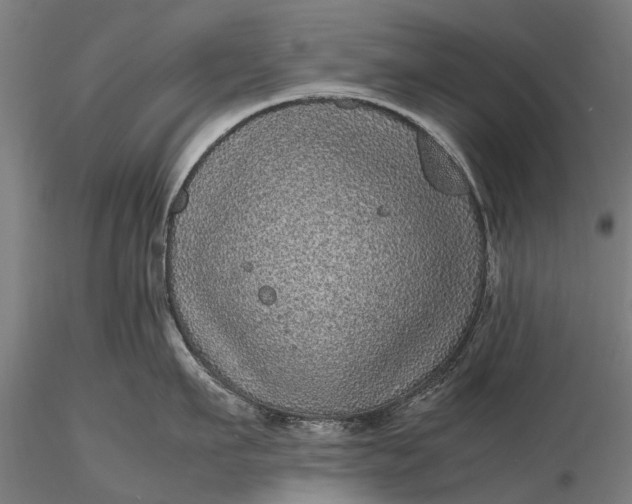 X0000116100911200912071257