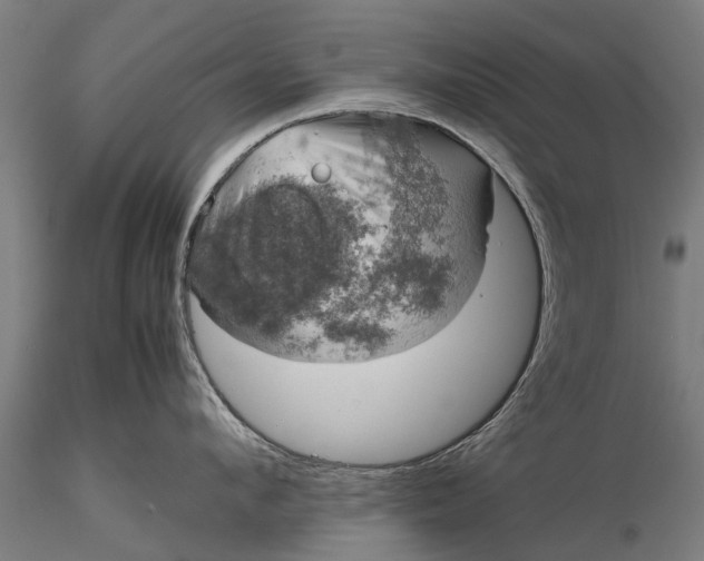 X0000116100912200912071257