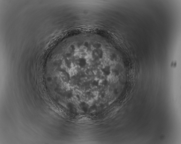 X0000116100913200912071256