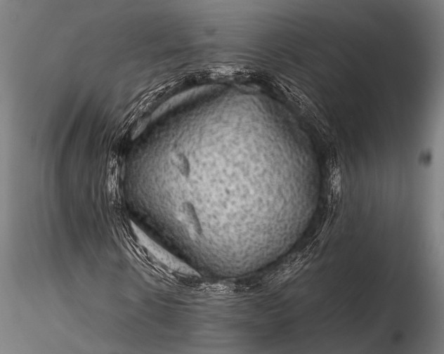 X0000116100914200912071256