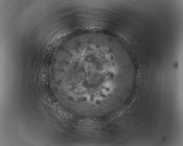 X0000116100917200912071256