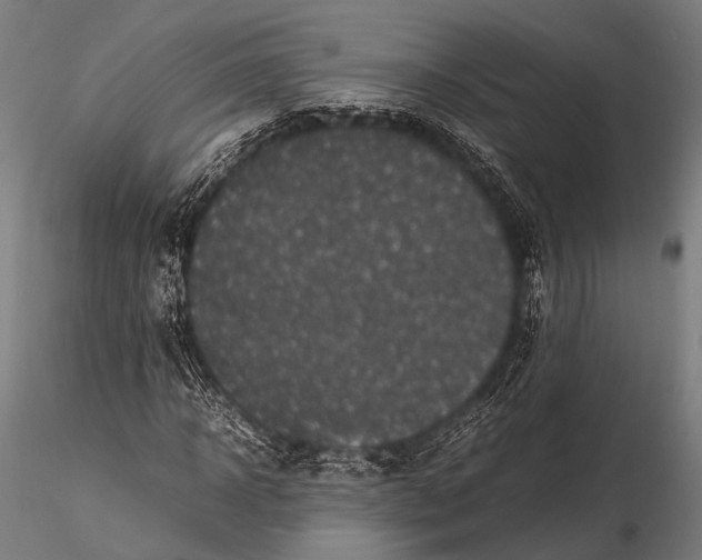 X0000116100918200912071256