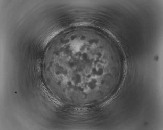 X0000116100921200912071256