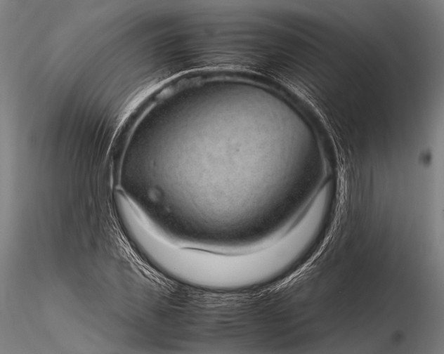 X0000116100925200912071256