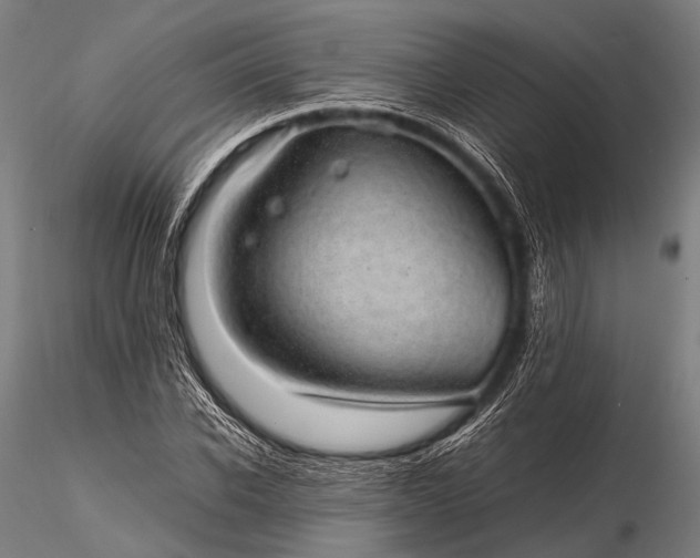 X0000116100926200912071256