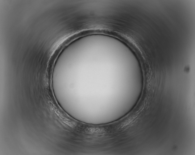 X0000116100927200912071256