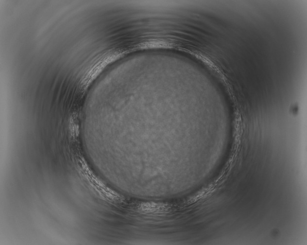 X0000116100929200912071256