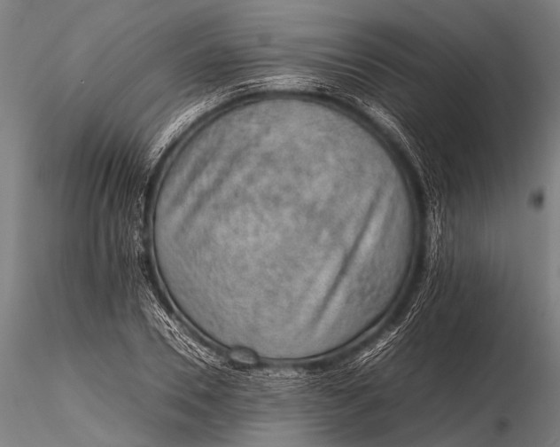 X0000116100930200912071256