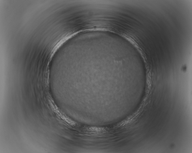 X0000116100933200912071256