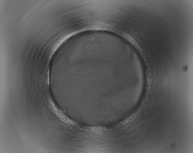 X0000116100934200912071256