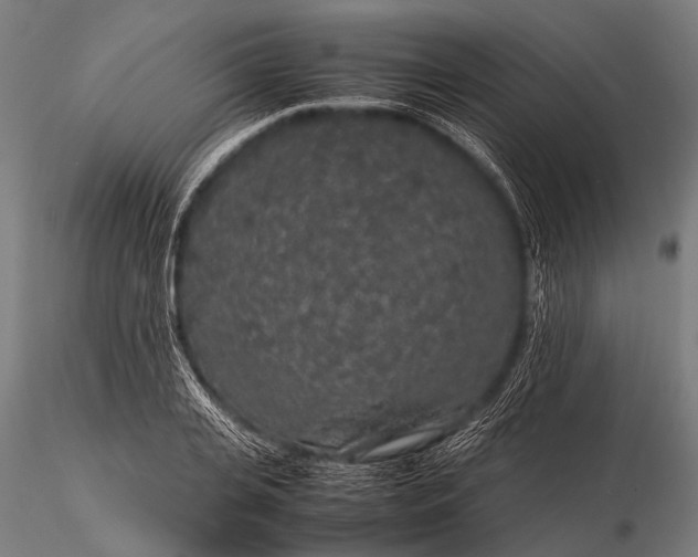 X0000116100935200912071256