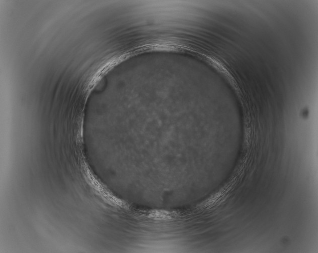 X0000116100938200912071256