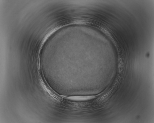 X0000116100939200912071256