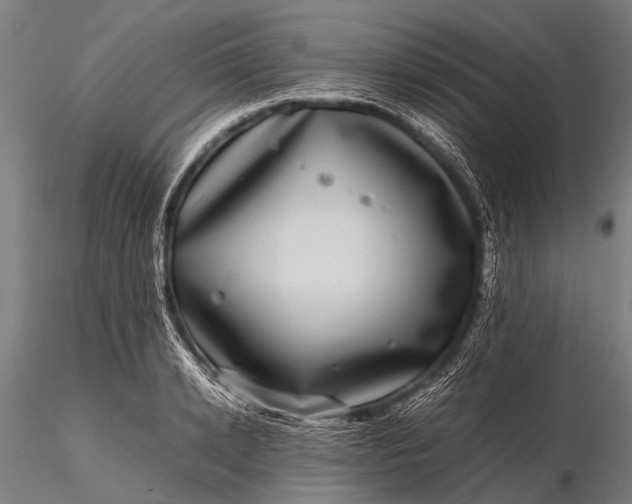 X0000116100942200912071256