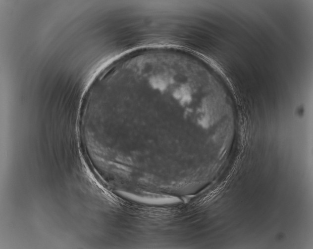 X0000116100943200912071256