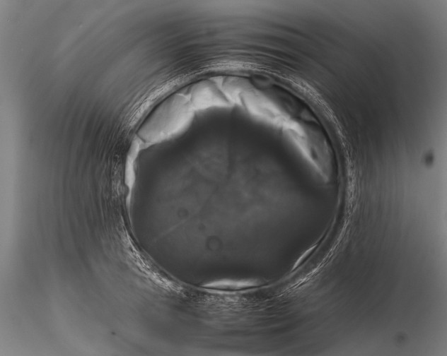 X0000116100945200912071256