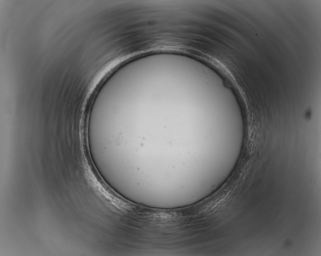 X0000116100947200912071256