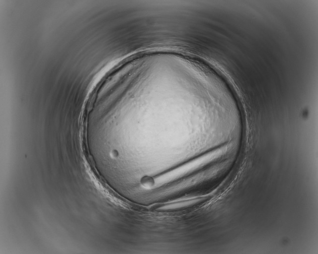 X0000116100949200912071256