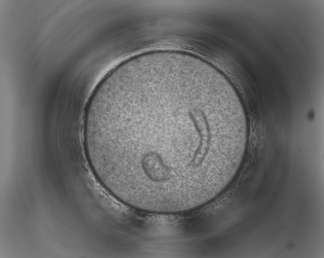 X0000116100950200912071256