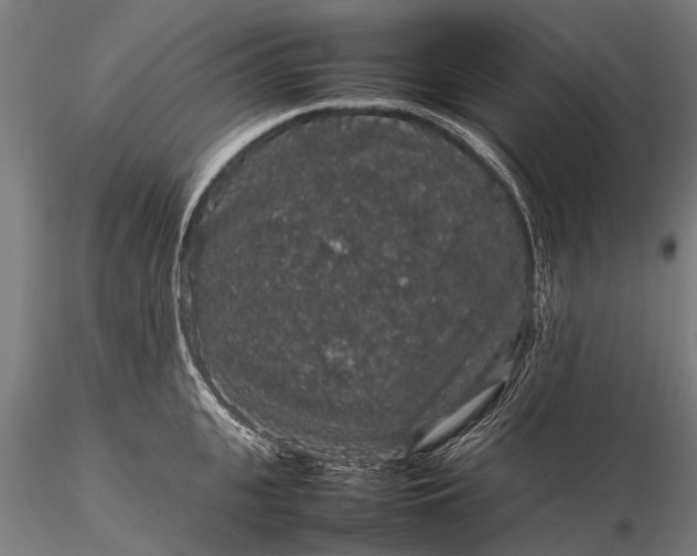 X0000116100951200912071256