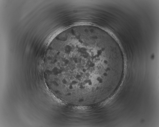 X0000116100953200912071256