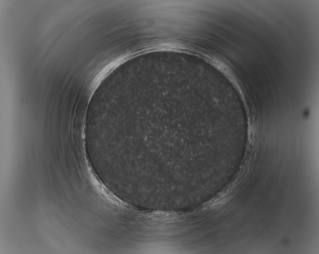 X0000116100954200912071256