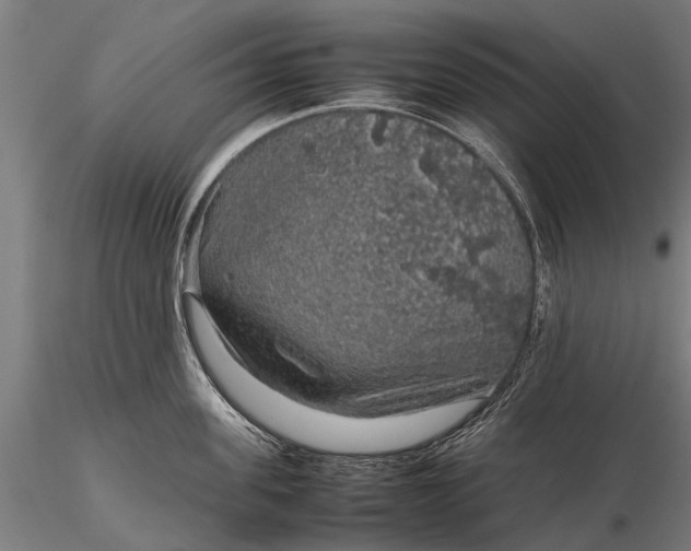 X0000116100955200912071256