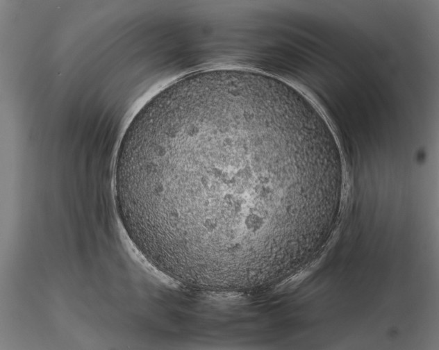 X0000116100957200912071257