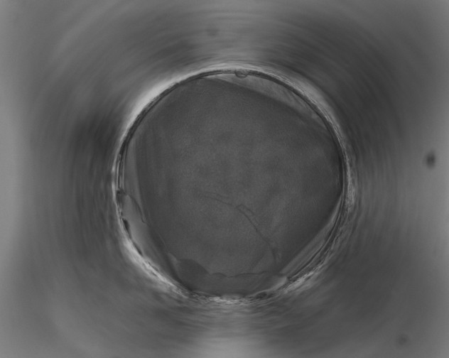 X0000116100958200912071257