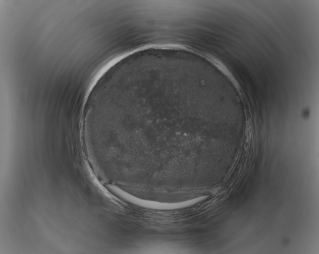 X0000116100959200912071257