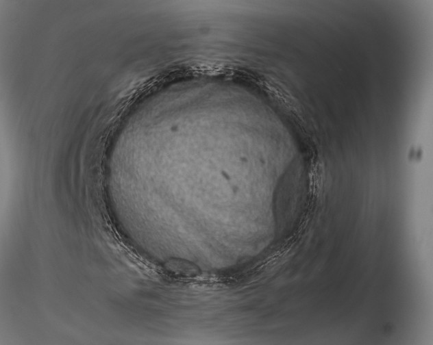 X0000116100961200912071256