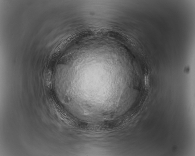 X0000116100963200912071256