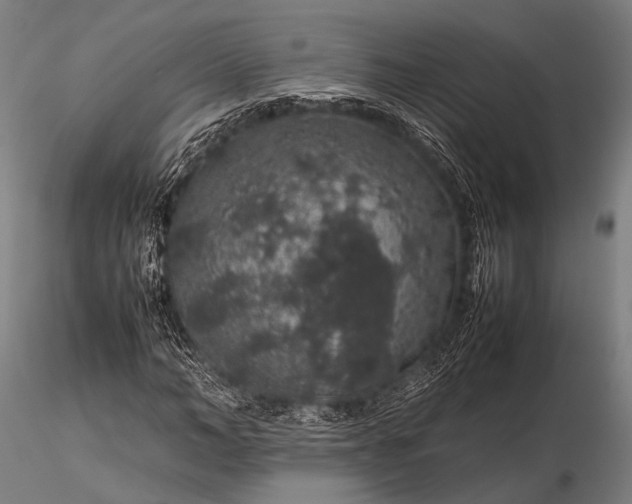 X0000116100966200912071256