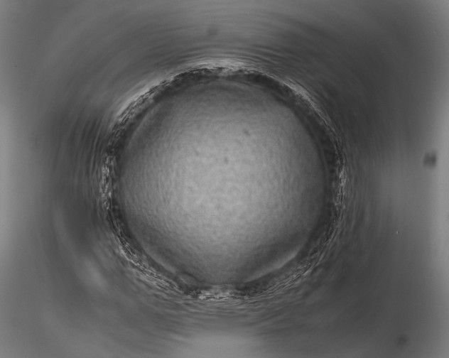 X0000116100967200912071256