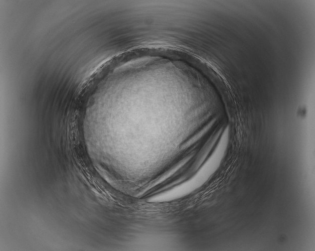 X0000116100968200912071256