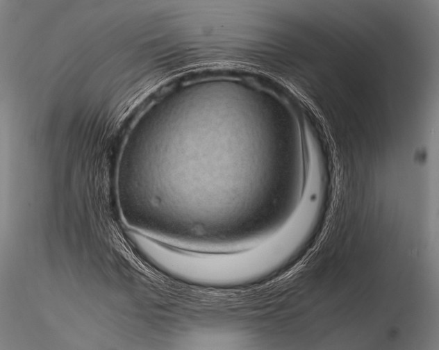 X0000116100969200912071256