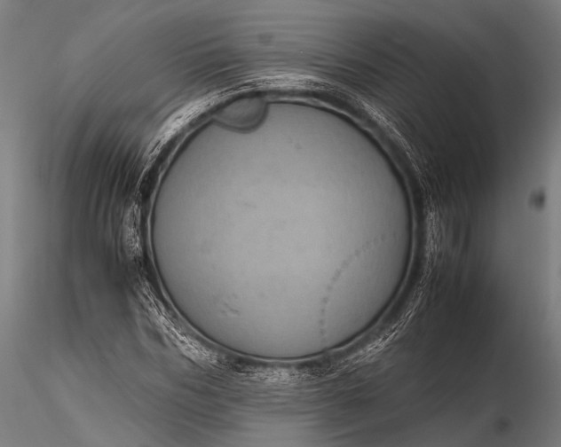 X0000116100970200912071256