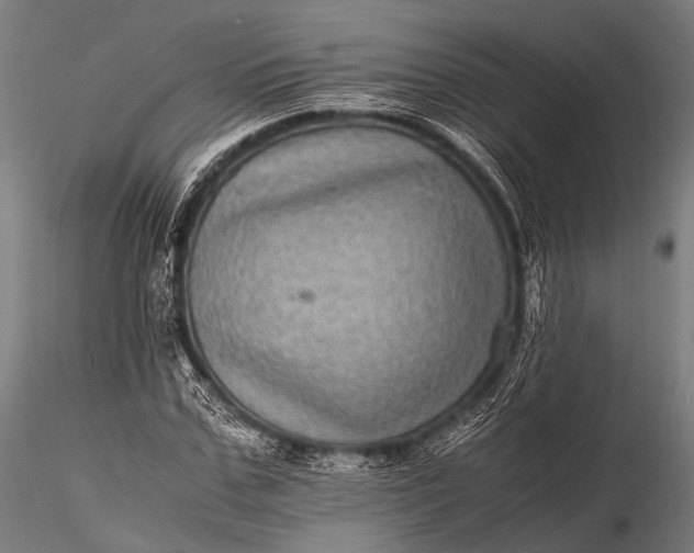 X0000116100971200912071256