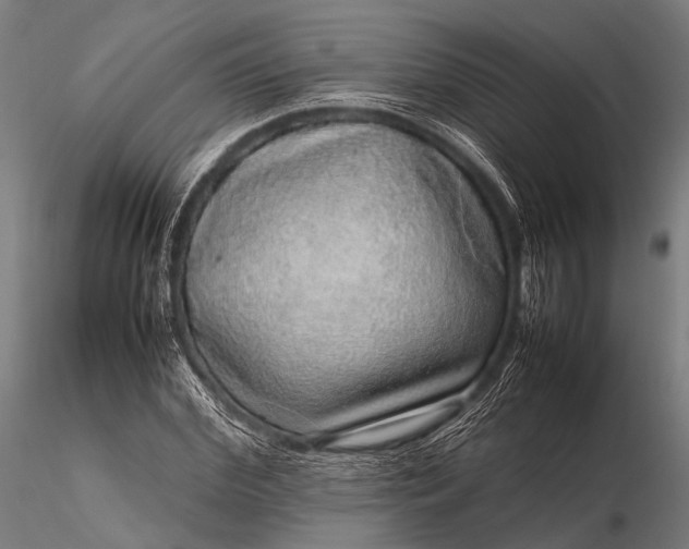 X0000116100972200912071256