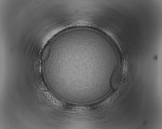 X0000116100973200912071256