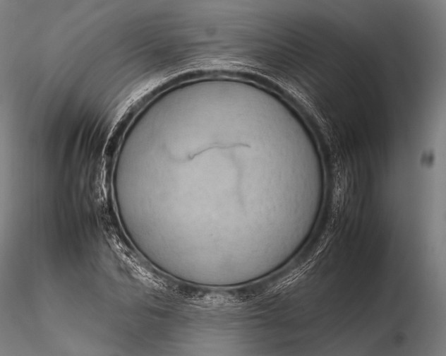 X0000116100974200912071256