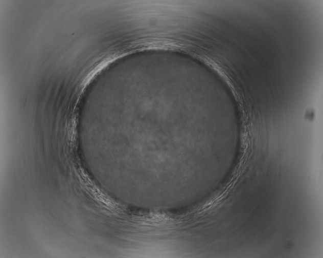 X0000116100975200912071256