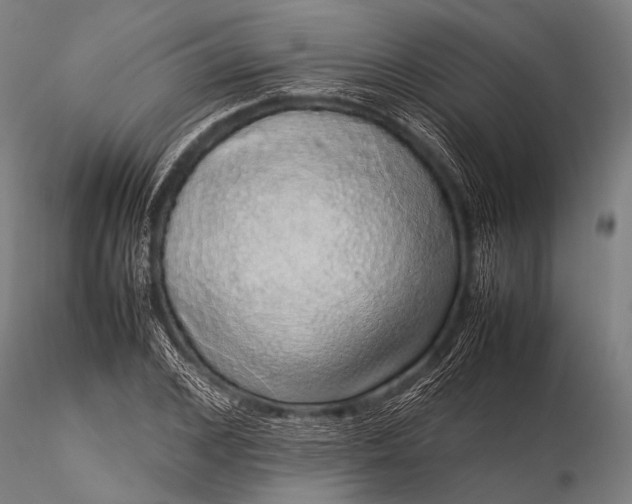 X0000116100976200912071256