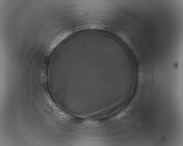 X0000116100977200912071255