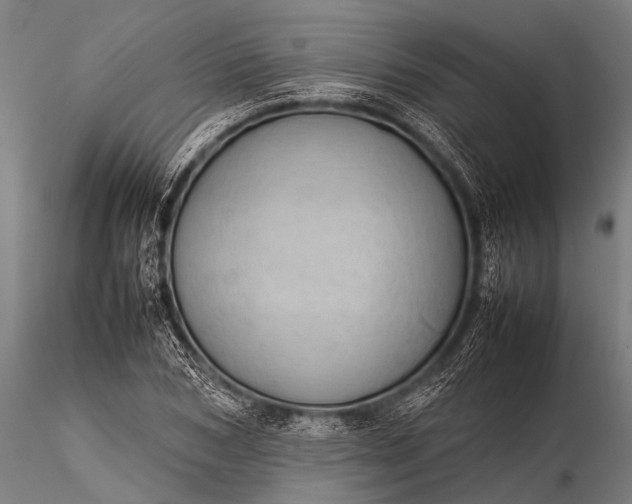 X0000116100978200912071255